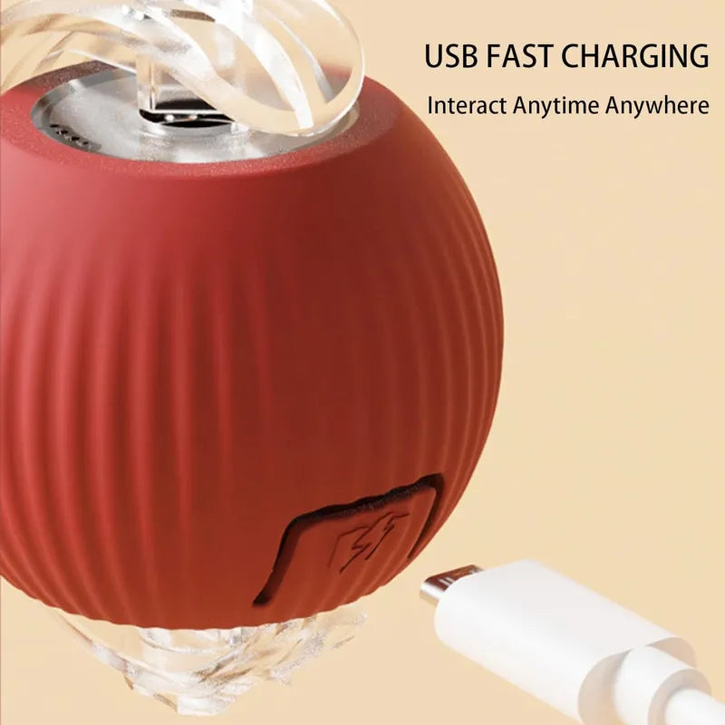 Smart Rolling Ball für Hunde - Automatisches LED Spielzeug 2025