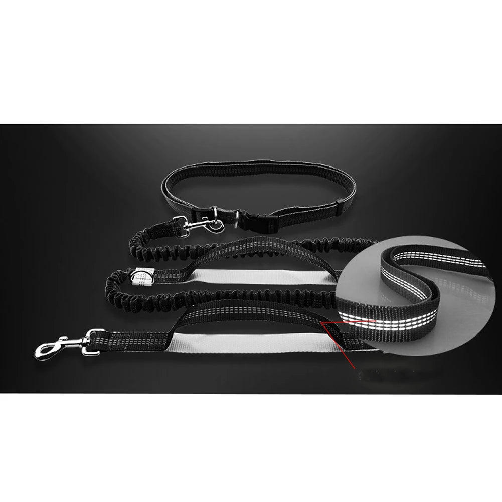 Premium Jogging-System Hund - Freihändig Laufen mit Reflektoren & Stoßdämpfer