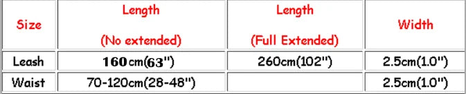 Premium Jogging-System Hund - Freihändig Laufen mit Reflektoren & Stoßdämpfer