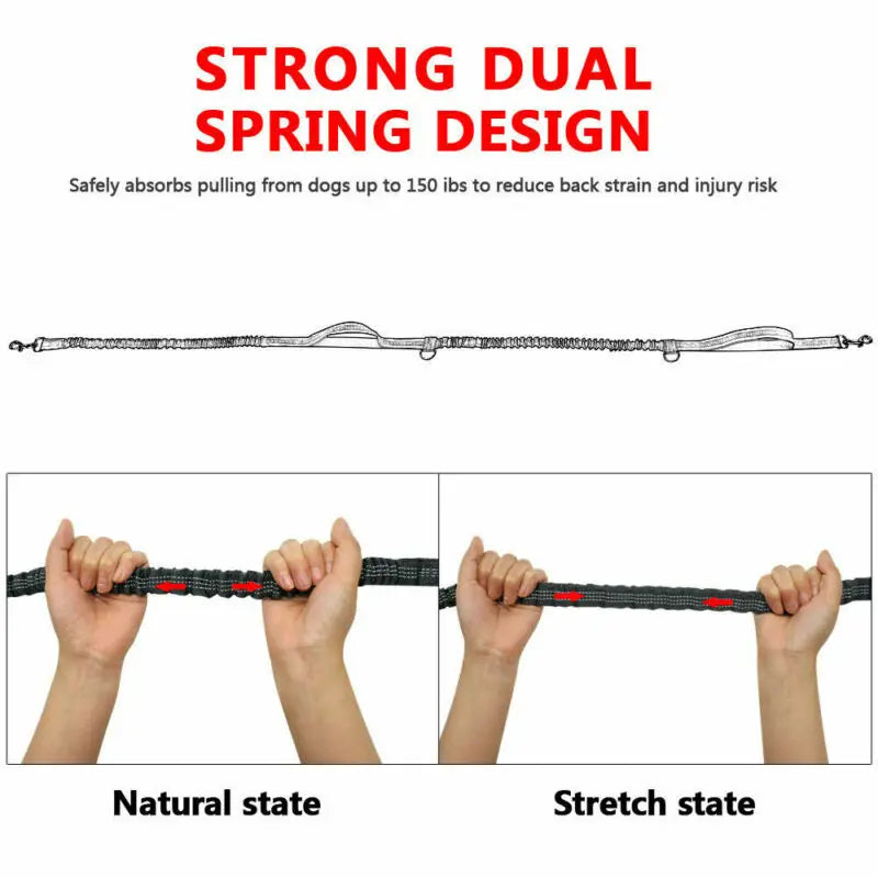 Premium Jogging-System Hund - Freihändig Laufen mit Reflektoren & Stoßdämpfer