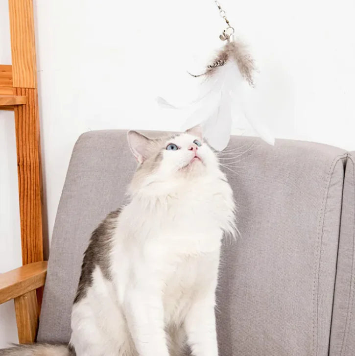 Premium Kratzbaum Wandmontage - Platzsparend & Extra Stark für alle Katzen